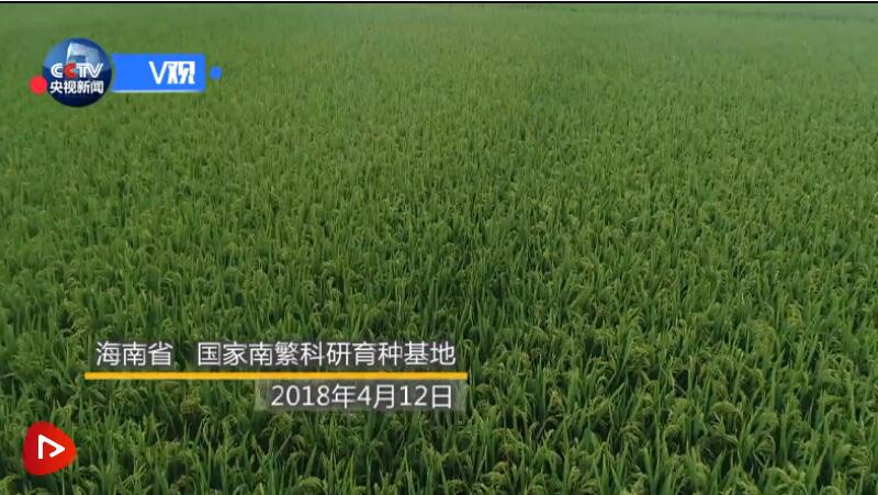 QQ截图20210524120603.jpg
