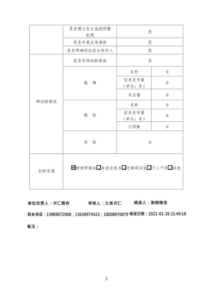 政务大厅年度报表(1)_3.png